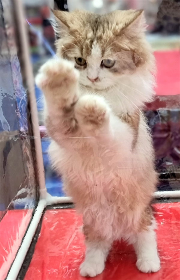 和记娱乐·H88(中国游)怡情博娱官网