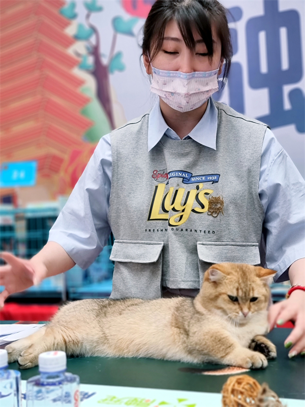 和记娱乐·H88(中国游)怡情博娱官网