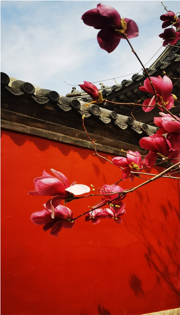 和记娱乐·H88(中国游)怡情博娱官网