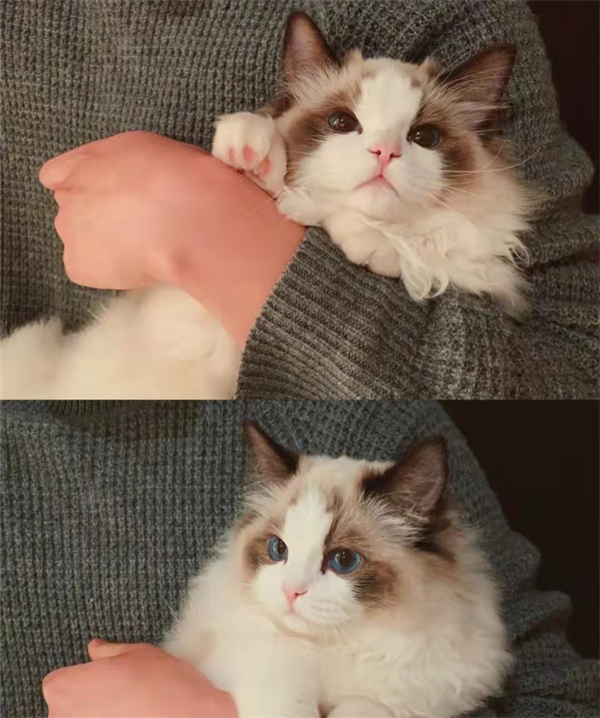 和记娱乐·H88(中国游)怡情博娱官网